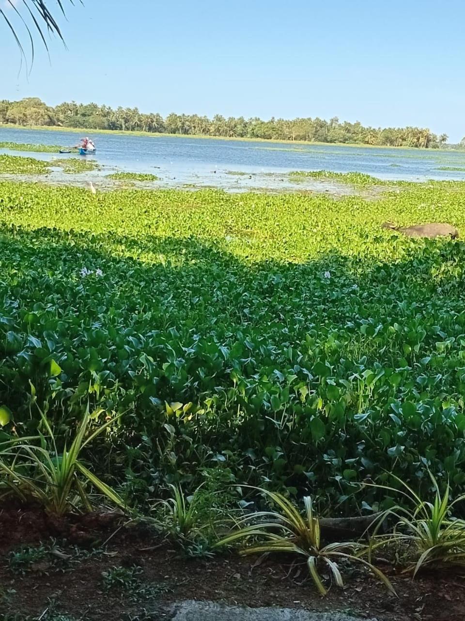 Lake Face Cabana 蒂瑟默哈拉默 外观 照片